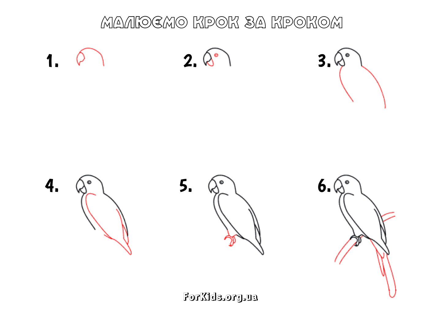 Як намалювати папугу
