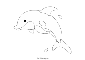 Дитячі розмальовки дельфін