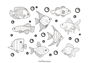 Дитячі розмальовки рибок