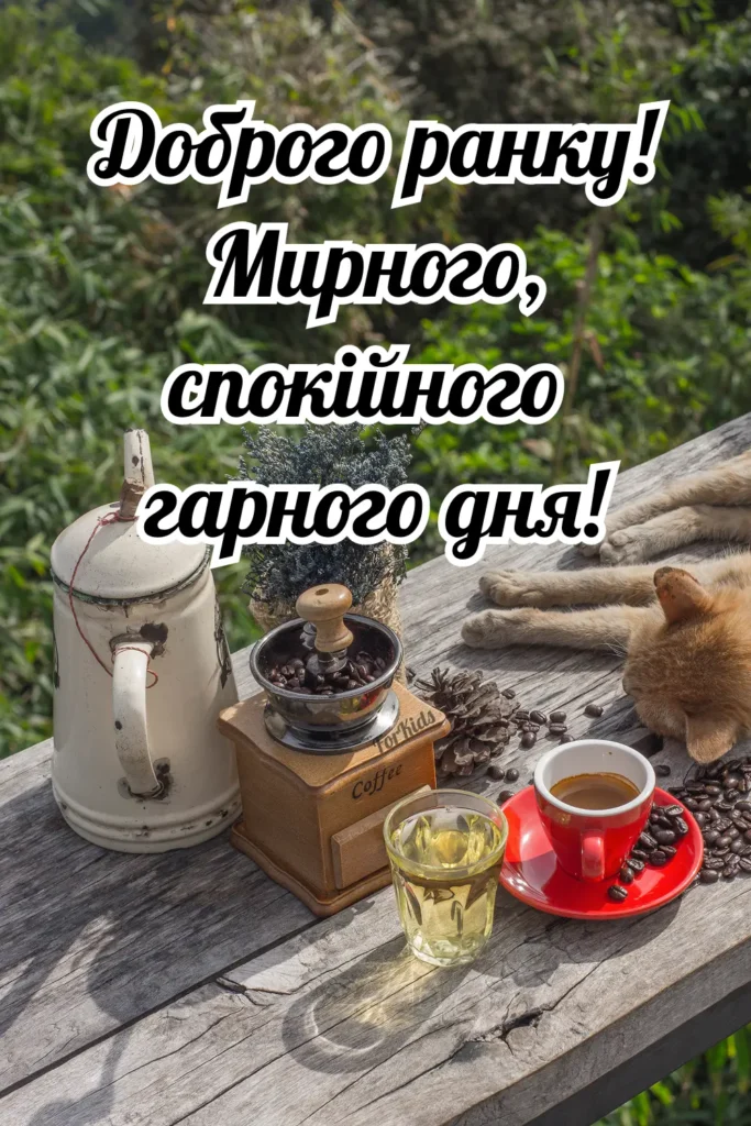 Доброго ранку! Мирного, спокійного гарного дня