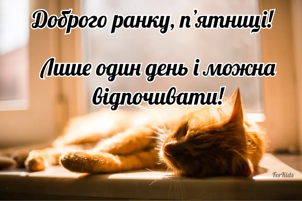 Доброго ранку, пʼятниця, прикольна картинка