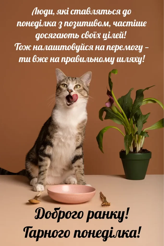 Прикольна картинка доброго ранку, понеділок