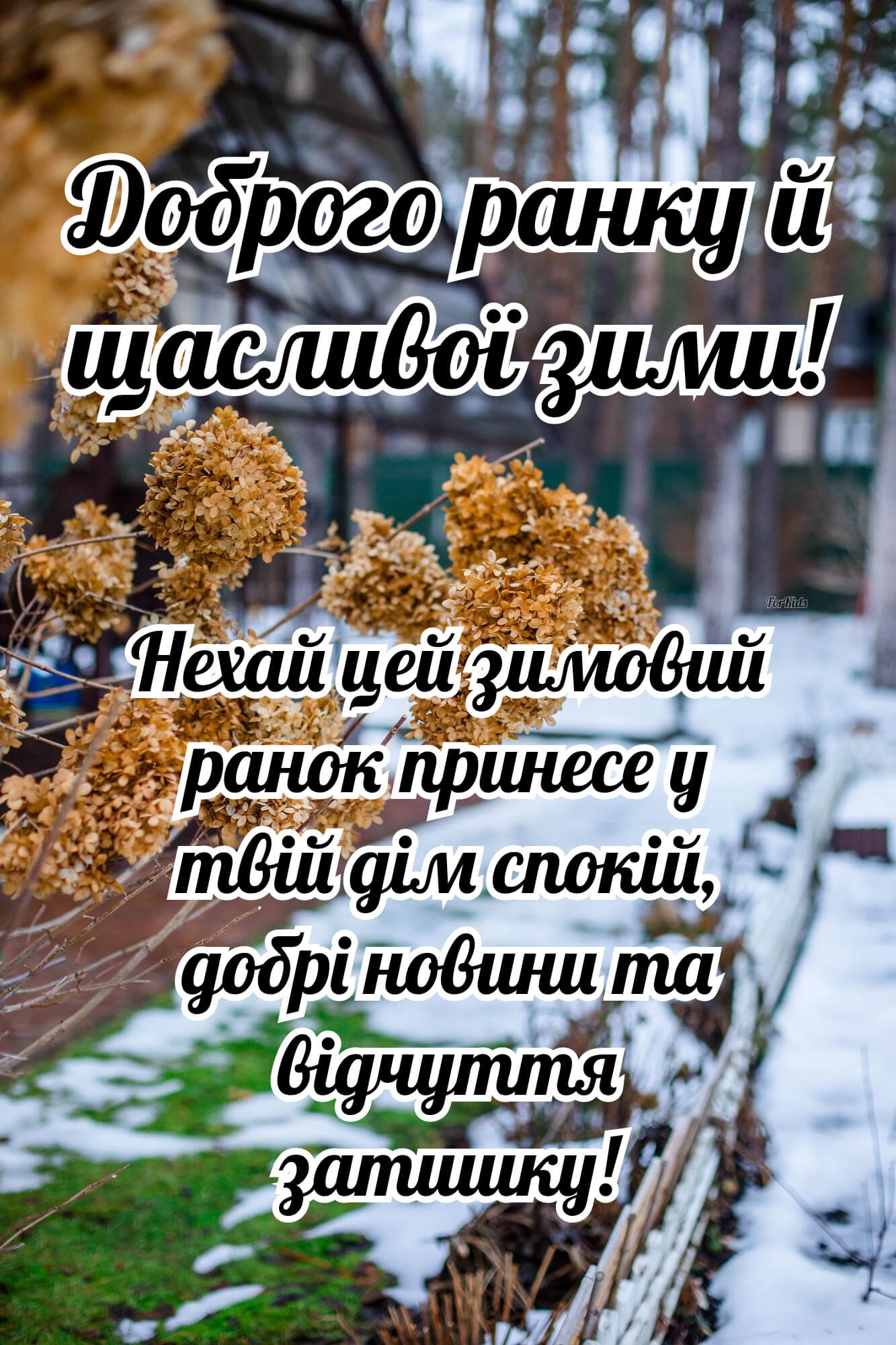 Гарна картинка з першим днем зими та доброго ранку 2025 українською